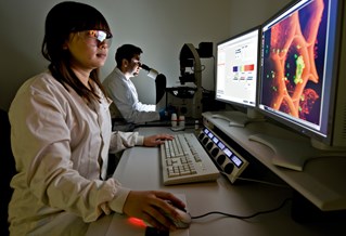 Researchers reviewing lab results