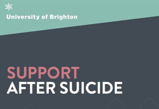 Graphic with the words Support after Suicide