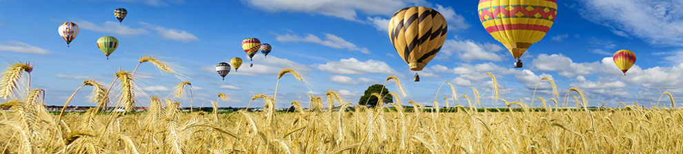 Hot air balloons against blue sky and cloud over a field of wheat