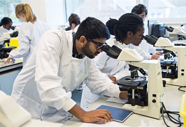 Students working in a biomedical lab
