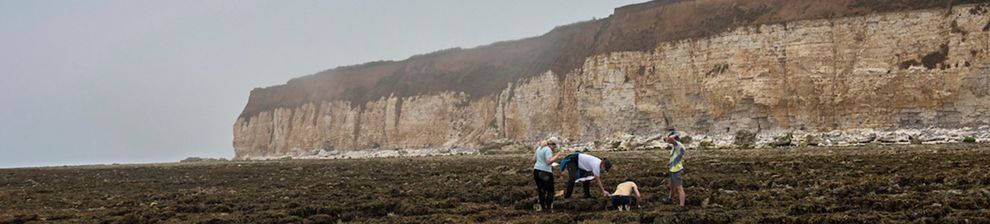 Students looking in seafront rock pools at low tide