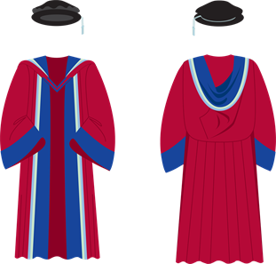 BSMS Doctorate