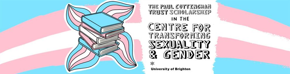 Illustration of a stack of books in Trans Pride colours (pink, blue and white)