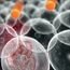 At the heart of the matter: a calculated risk