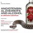 Angiotensin, Alzheimer's and Alcohol
