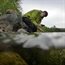 Using biodiversity to identify sediment pollution in rivers