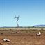Young people as experts on coping with drought