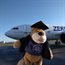 Bear in the air