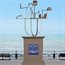 What makes Hove, actually?