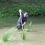 Wetlands under threat