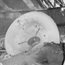 Brighton graduate in contention for top photography prize