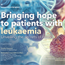 Bringing hope to patients with leukaemia: Unveiling the secrets of blood