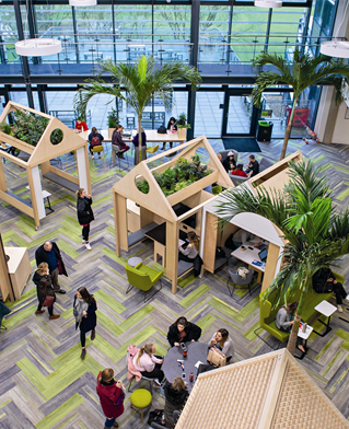 Atrium of Checkland Building at Falmer