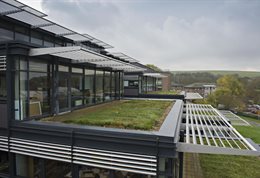 Falmer grass roofs