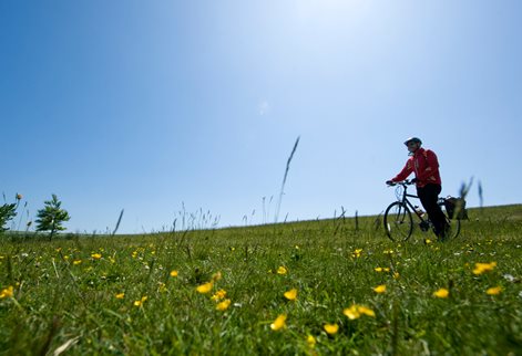 Cyclist on the Downs