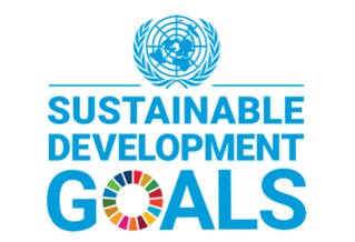 Sustainable Development Goals logo