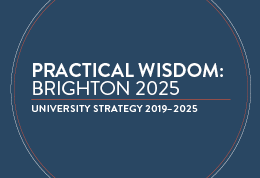 Graphic image with the words Practical Wisdom: Brighton 2025