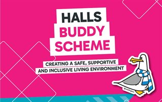 Buddy Scheme logo including a picture of a seagull