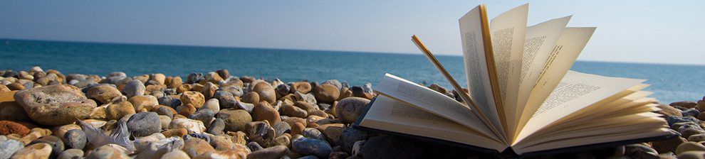 Book on beach