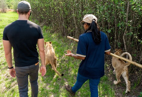 Tourism work experience