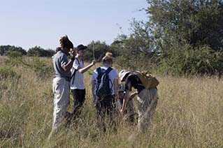 Environmental sciences students conducting fieldwork