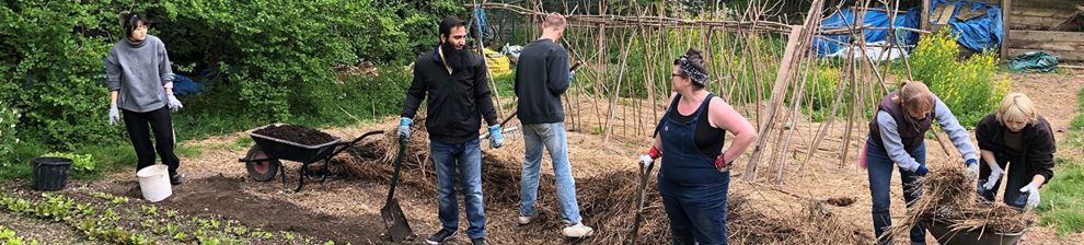Community volunteers working in an allotment garden