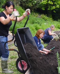 Eastbourne gardening