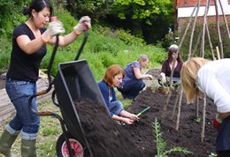 Gardening in Eastbourne