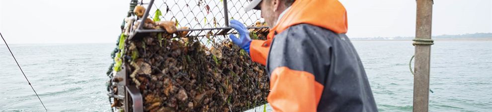 MICROPLASTICS OysterDredge