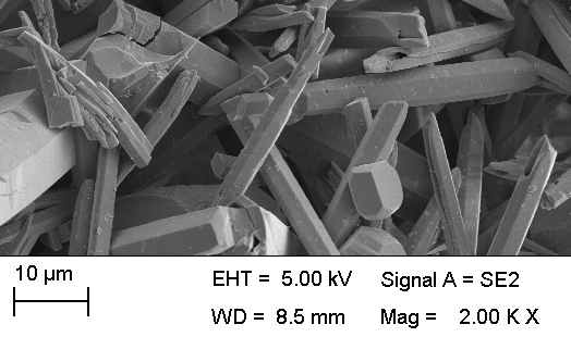 Secondary Electron