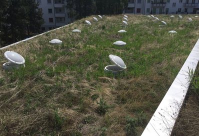 Organic Roofs