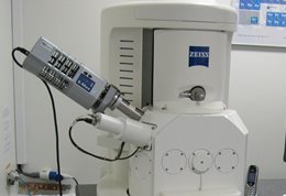 Electron microscope for hire at the University of Brighton