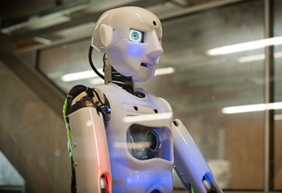 Robot at the University of Brighton