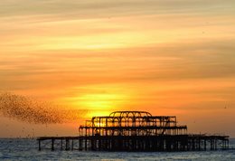 Brighton pier sunset
