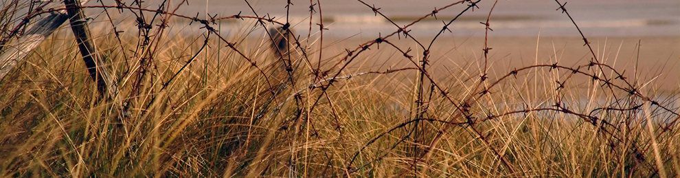 Rusting barbed wire left in a field