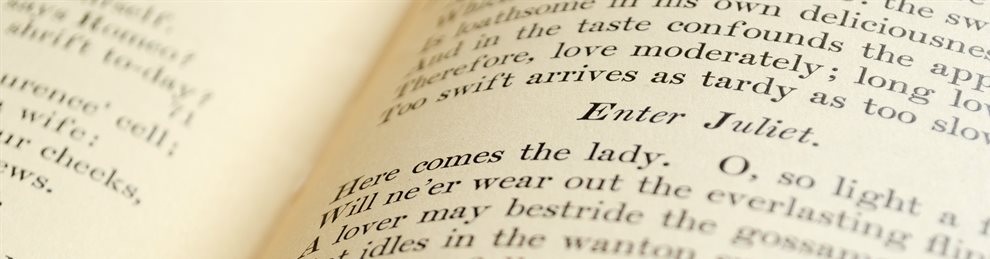 Dissertation subjects english literature degree