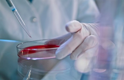 A gloved hand holding a petri dish containing a red liquid while a pipette dispenses a droplet into the dish.
