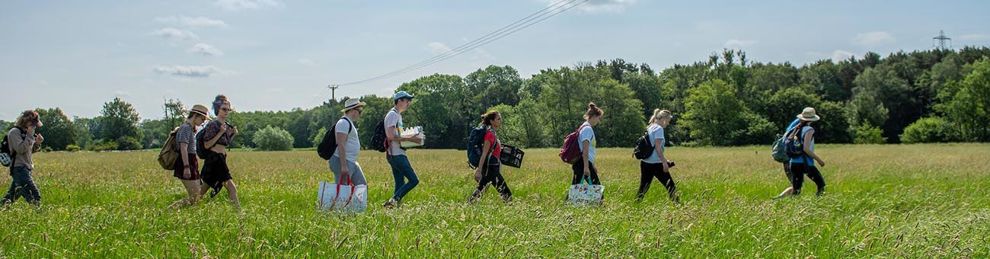 Group of students walking in a line across field in Sheffield Park