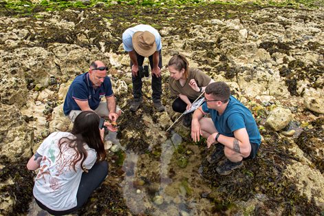 Group of students with lecturer looking at sample from a rock pool