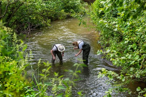 Male and female student standing in a river collecting samples