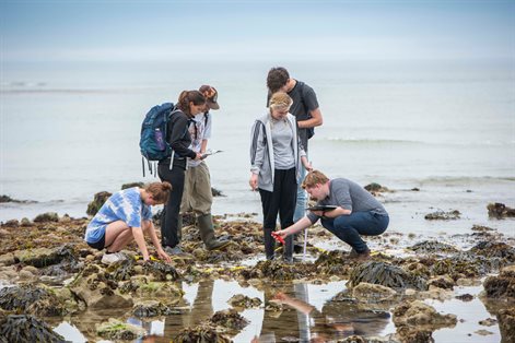 Students looking at rock pools during fieldwork