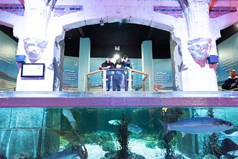 Students standing on bridge with an aquarium below them
