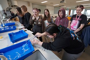 Group of students watching one person our liquid between two glass containers in a geography lab