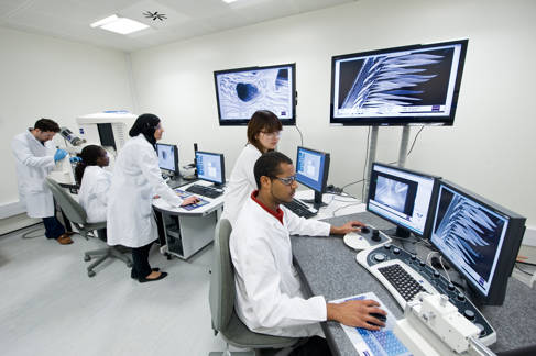 Biomedical students working in the lab