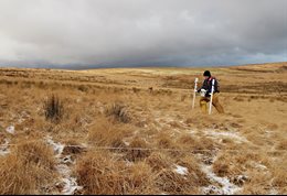 Analysing the earth in a cold grassy landscape
