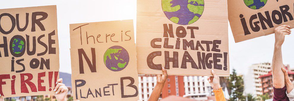 A selection of environmental placards