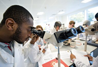 Proposal and dissertation help undergraduate