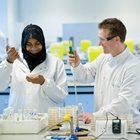 Biomedical Science BSc(Hons) (with integrated foundation year)
