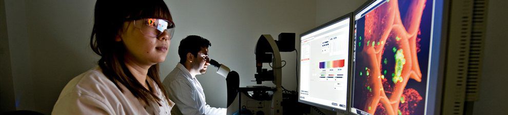 Banner for Centre for Regenerative Medicine and Devices featuring researchers looking through a microscope and at computers screens