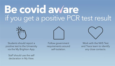 Illustration of what to do if you receive a positive PCR test